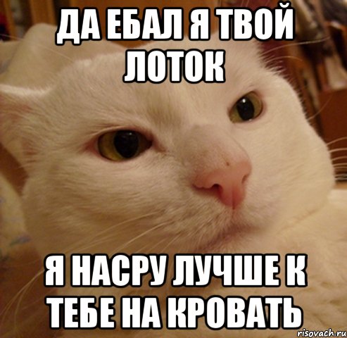 Да ебал я твой лоток Я насру лучше к тебе на кровать
