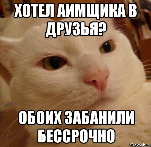 Хотел аимщика в друзья? обоих ЗАБАНИЛИ БЕССРОЧНО