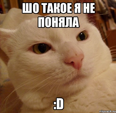 Шо такое я не поняла :D