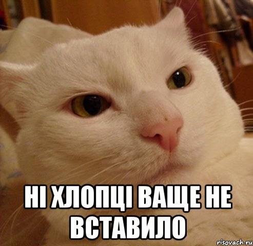  ні хлопці ваще не вставило