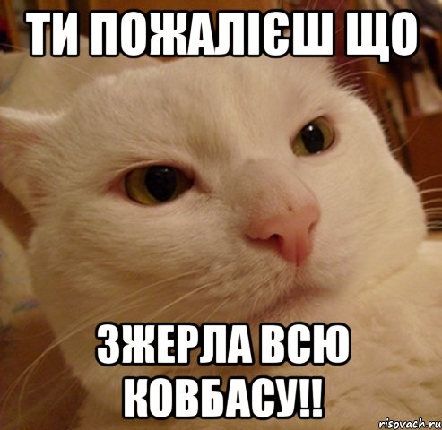 Ти пожалієш що ЗЖЕРЛА ВСЮ КОВБАСУ!!