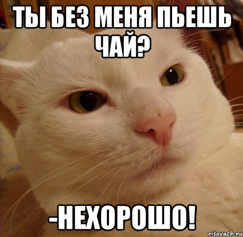 ты без меня пьешь чай? -нехорошо!