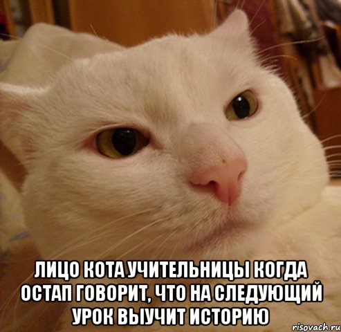  Лицо кота учительницы когда Остап говорит, что на следующий урок выучит историю