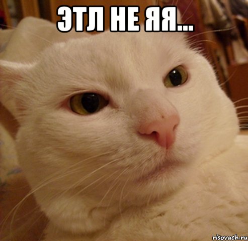 Этл не яя... 