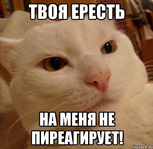 Твоя ересть На меня не пиреагирует!