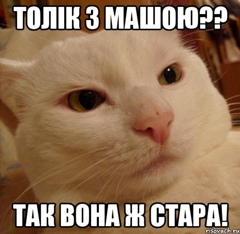 Толік з машою?? так вона ж стара!