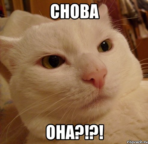 Снова Она?!?!