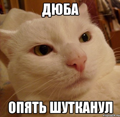 Дюба опять шутканул