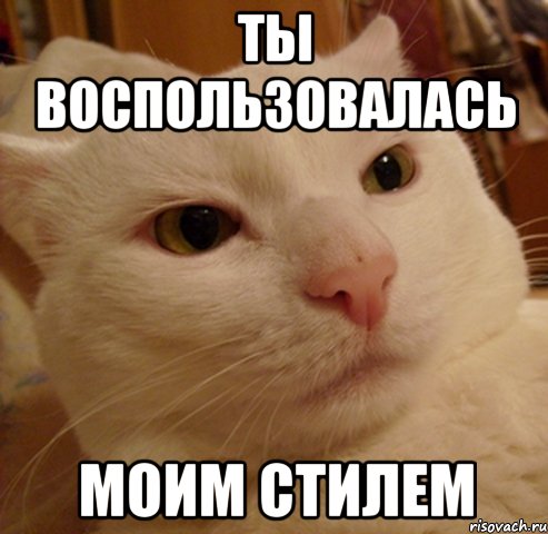 ты воспользовалась моим стилем