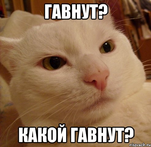 гавнут? какой гавнут?