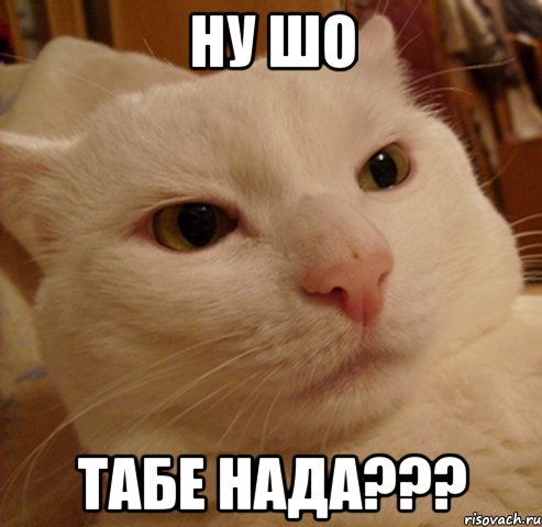 НУ ШО ТАБЕ НАДА???