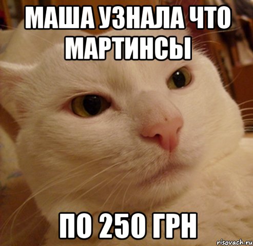 маша узнала что мартинсы по 250 грн