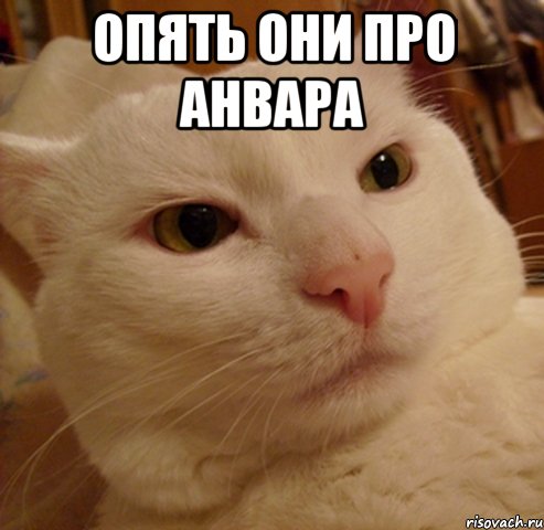 опять они про Анвара 