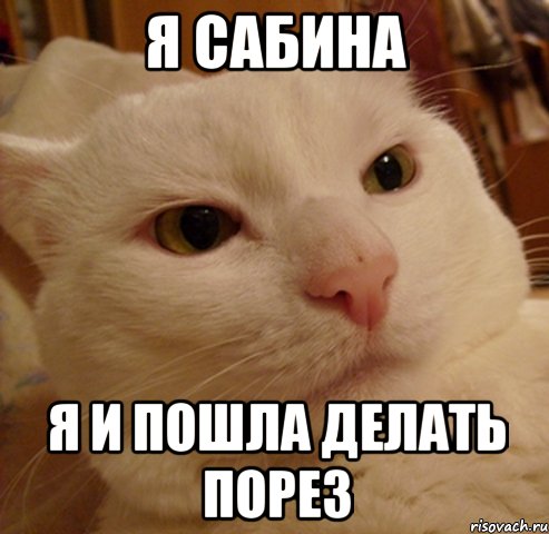 Я Сабина Я и пошла делать порез
