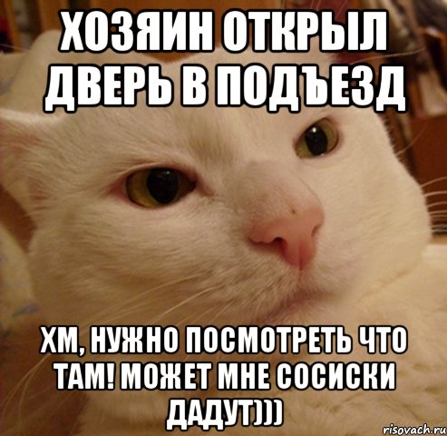 Хозяин открыл дверь в подъезд Хм, нужно посмотреть что там! Может мне сосиски дадут)))
