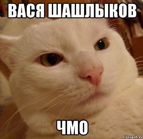 Вася шашлыков Чмо