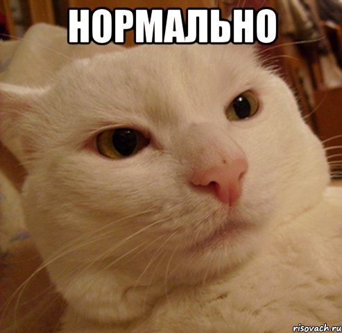 нормально 