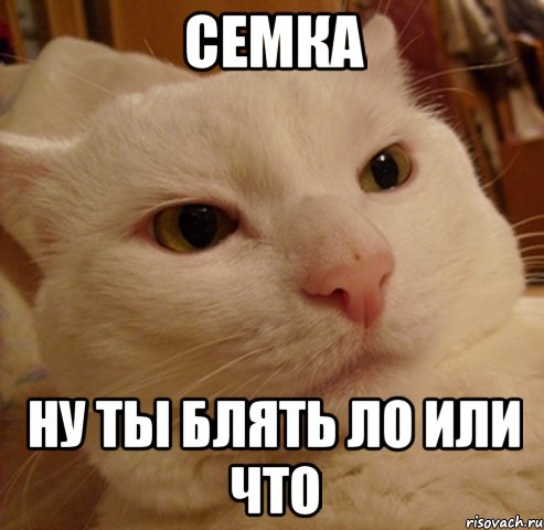 семка ну ты блять ло или что