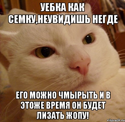 уебка как семку,неувидишь негде его можно чмырыть и в этоже время он будет лизать жопу!