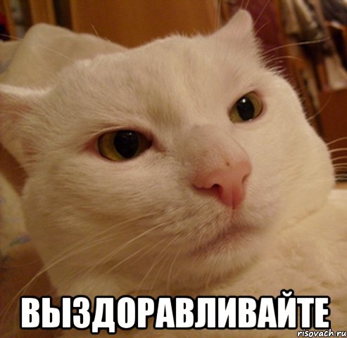  Выздоравливайте