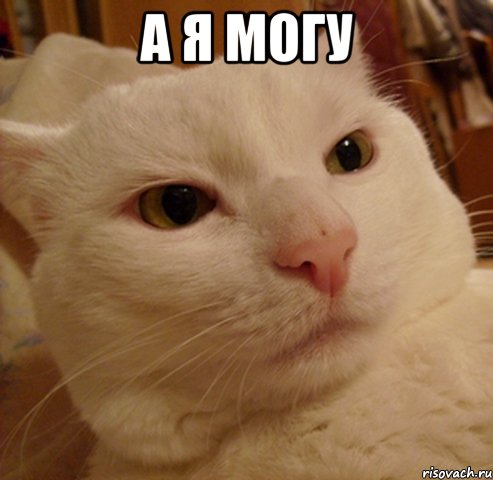 а я могу 