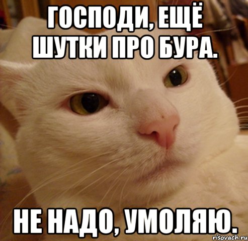 Господи, ещё шутки про Бура. Не надо, умоляю.