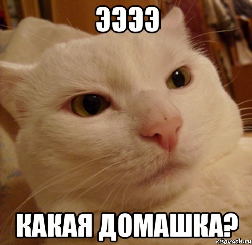 ээээ Какая домашка?