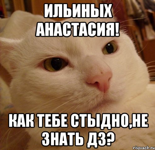 Ильиных Анастасия! Как тебе стыдно,не знать дз?