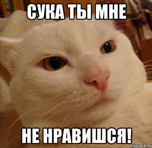 СУКА ТЫ МНЕ НЕ НРАВИШСЯ!