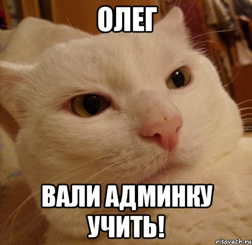 Олег вали админку учить!