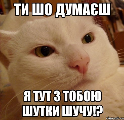Ти шо думаєш я тут з тобою шутки шучу!?