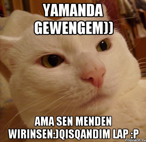 yamanda gewengem)) ama sen menden wirinsen:)qisqandim lap :P