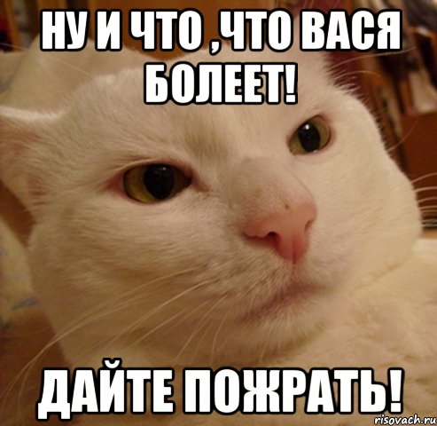 ну и что ,что вася болеет! дайте пожрать!