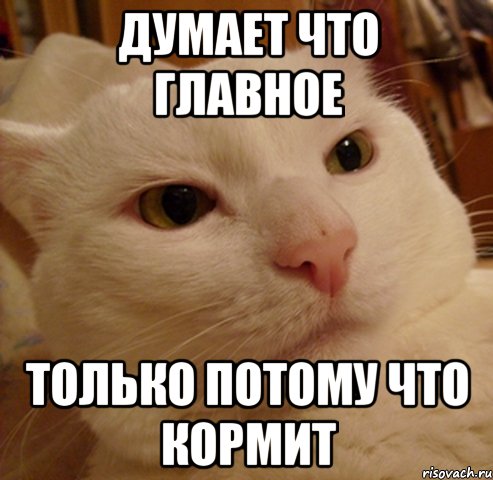 Думает что главное Только потому что кормит