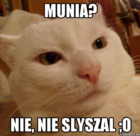 Munia? Nie, nie slyszal ;o