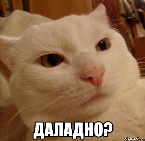  Даладно?