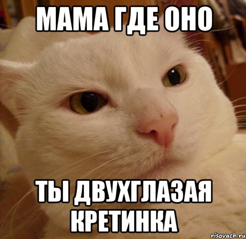 Мама Где оно Ты Двухглазая Кретинка