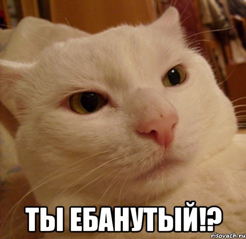  Ты ебанутый!?