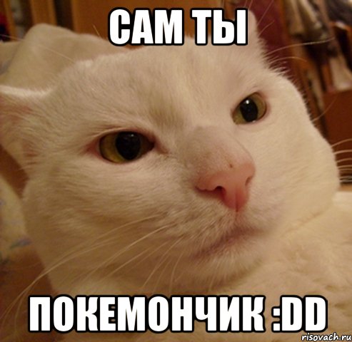 Сам ты Покемончик :DD, Мем Дерзкий котэ