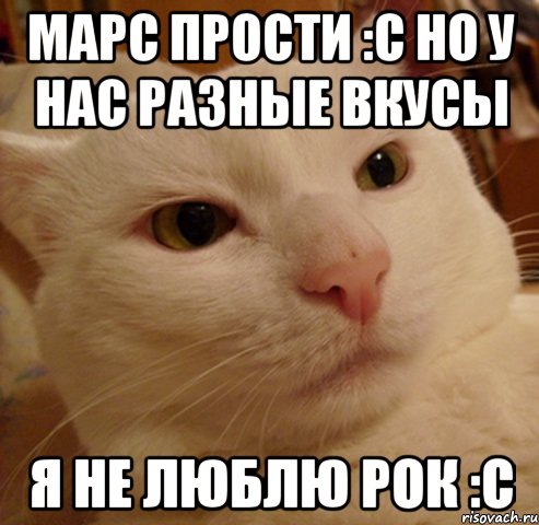 Марс прости :c Но у нас разные вкусы Я не люблю рок :c, Мем Дерзкий котэ