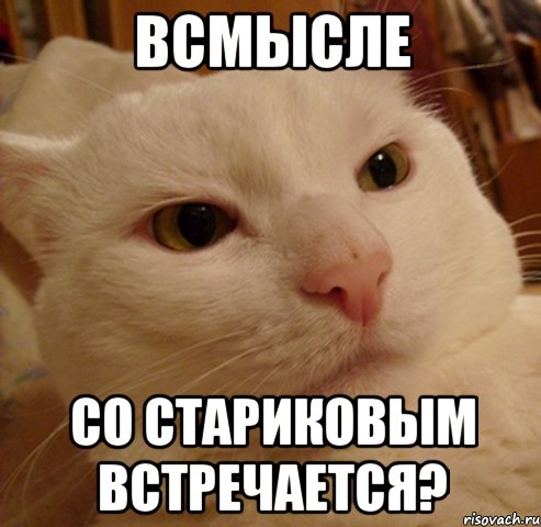 всмысле со стариковым встречается?, Мем Дерзкий котэ