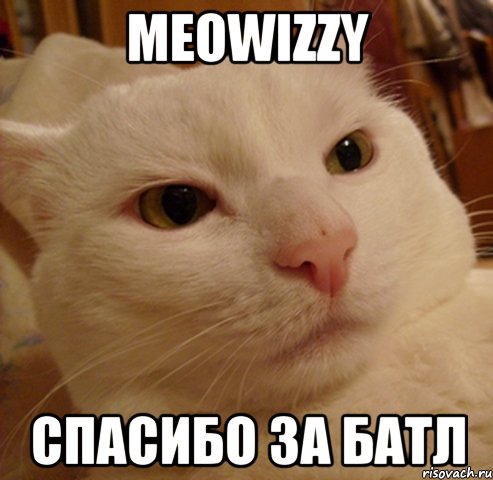 Meowizzy Спасибо за батл, Мем Дерзкий котэ