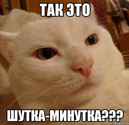 так это шутка-минутка???, Мем Дерзкий котэ