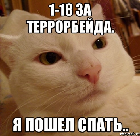 1-18 за террорбейда. я пошел спать.., Мем Дерзкий котэ