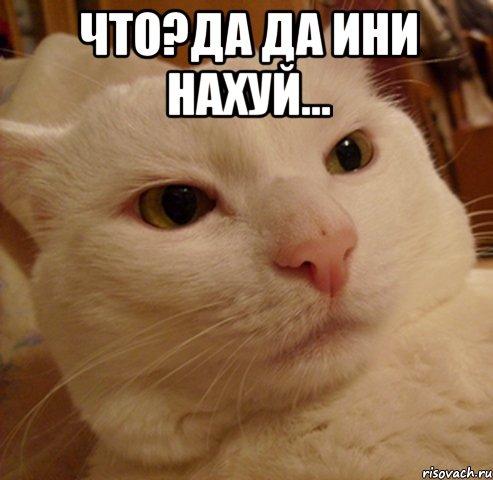 что?да да ини нахуй... 