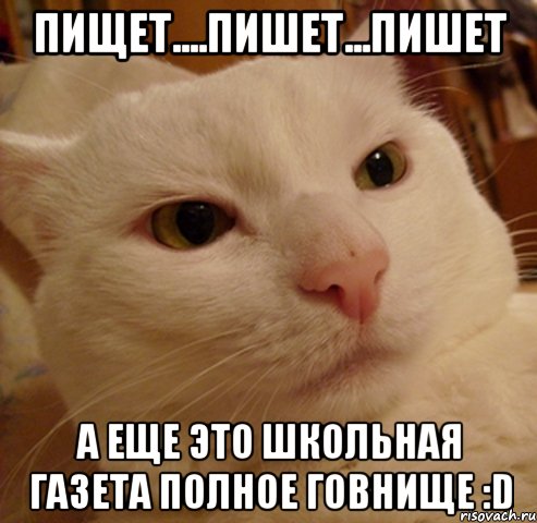 Пищет....пишет...пишет А еще это школьная газета полное говнище :D, Мем Дерзкий котэ