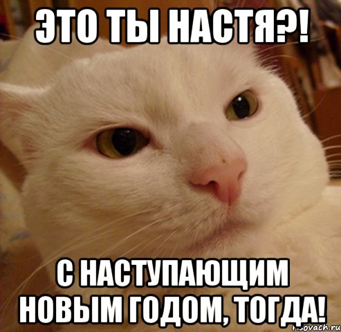 Это ты настя?! С наступающим новым годом, тогда!, Мем Дерзкий котэ