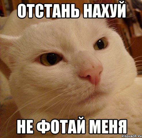 Отстань нахуй Не фотай меня