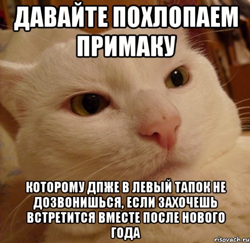 Давайте похлопаем ПРИМАКУ которому дпже в левый тапок не дозвонишься, если захочешь встретится вместе после нового года, Мем Дерзкий котэ