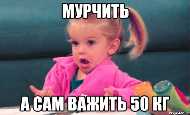 Мурчить а сам важить 50 кг, Мем  Ты говоришь (девочка возмущается)